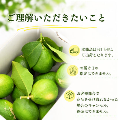 【先行予約・9月上旬より出荷】高知県産 家庭用 グリーンレモン 3kg～5kg【栽培期間中農薬不使用】