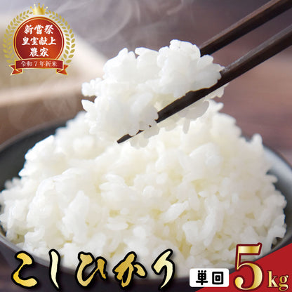 令和7年産 高知県安芸市産 こしひかり