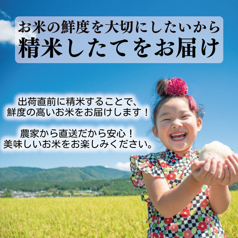令和7年産 高知県安芸市産 にこまる – 高知かわうそ市場