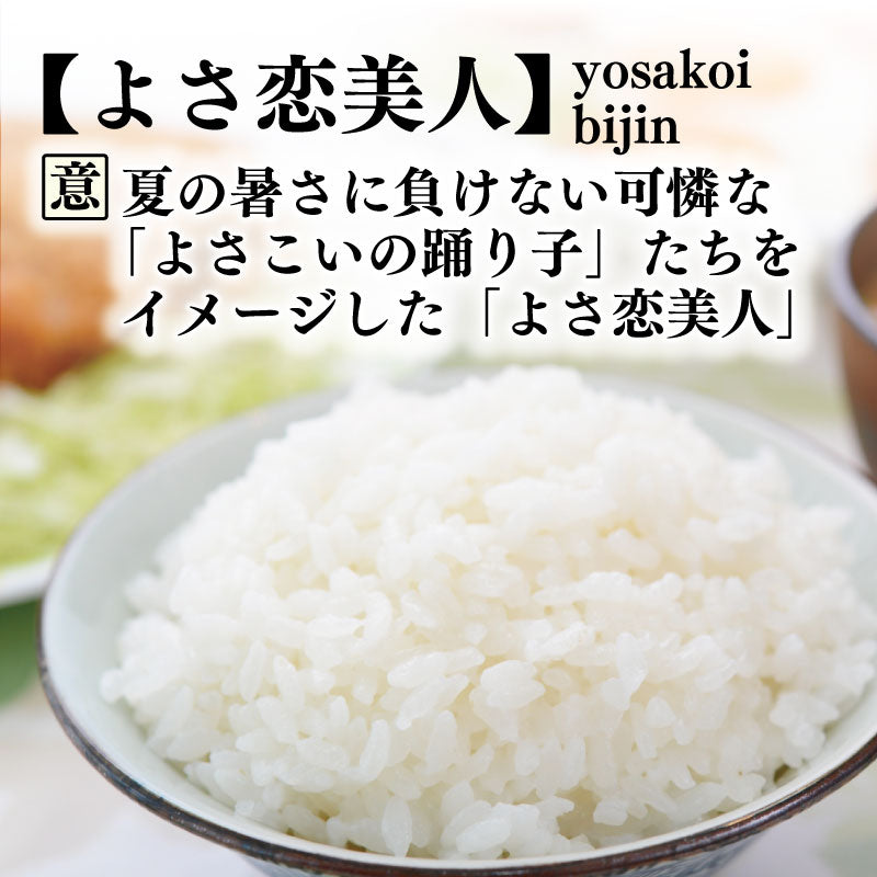 高知県産 よさ恋美人
