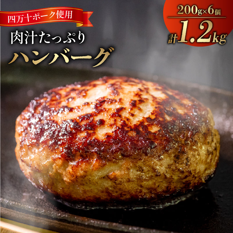 【四万十ポーク】四万十ポーク入りハンバーグ