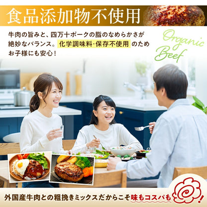 【四万十ポーク】四万十ポーク入りハンバーグ