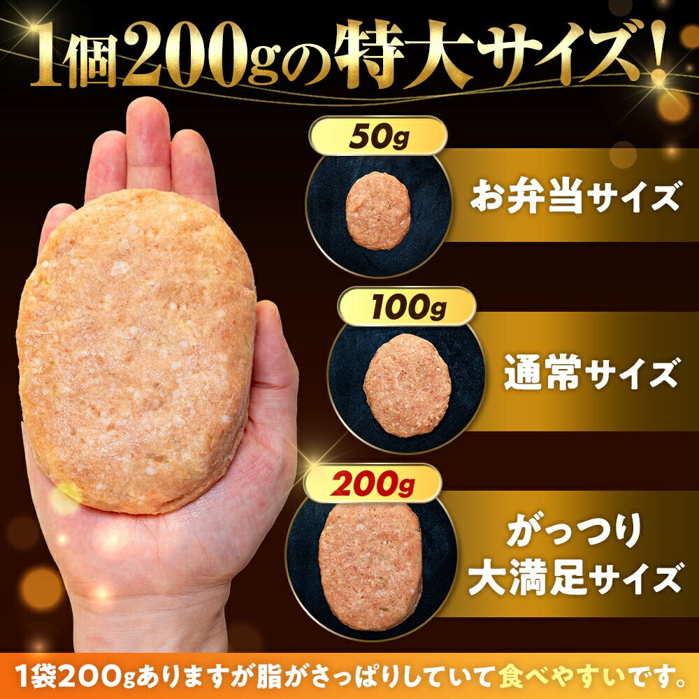 【四万十ポーク】四万十ポーク入りハンバーグ