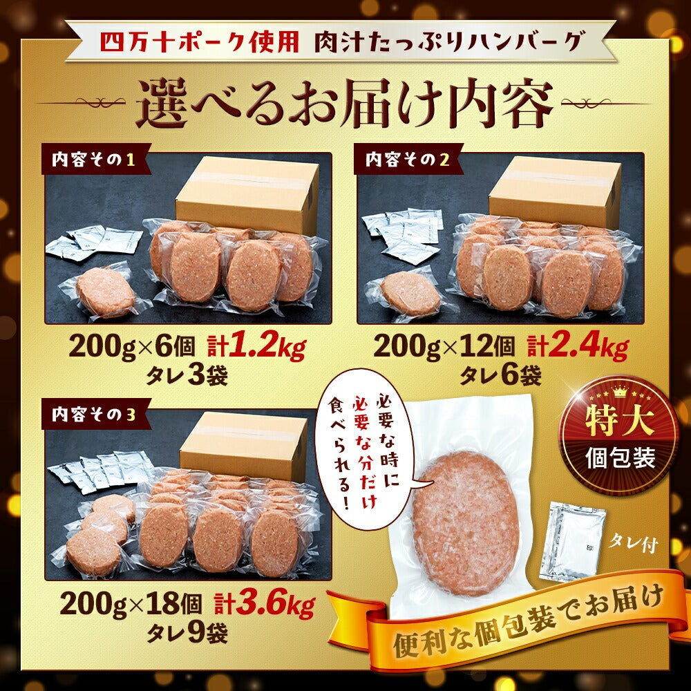 【四万十ポーク】四万十ポーク入りハンバーグ