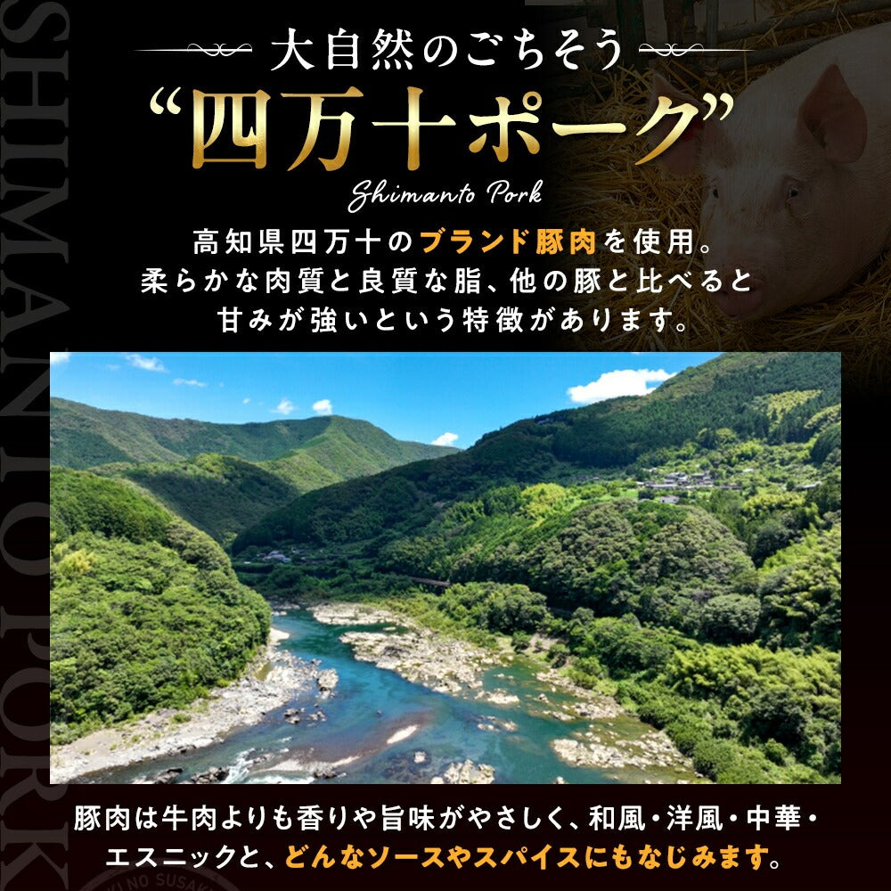 【四万十ポーク】四万十ポーク入りハンバーグ