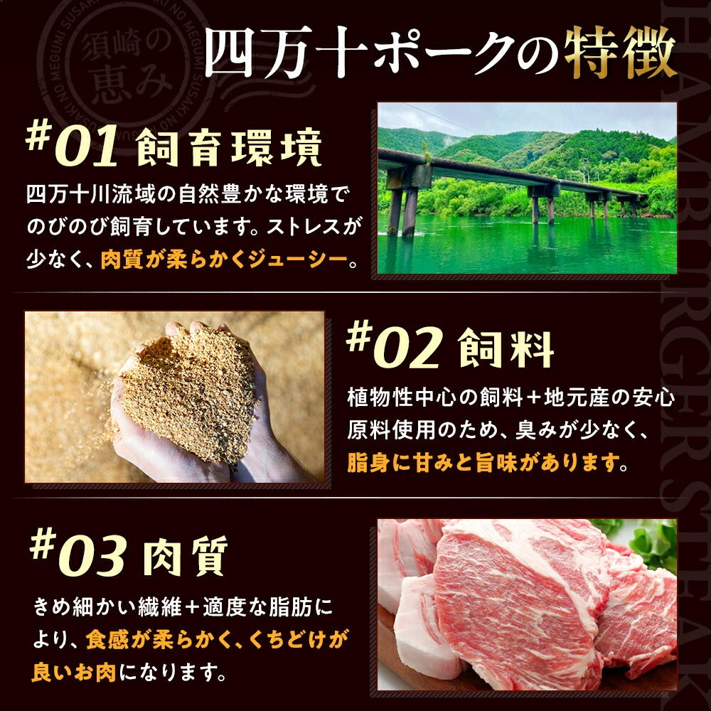 【四万十ポーク】四万十ポーク入りハンバーグ