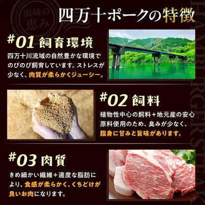 【四万十ポーク】四万十ポーク入りハンバーグ