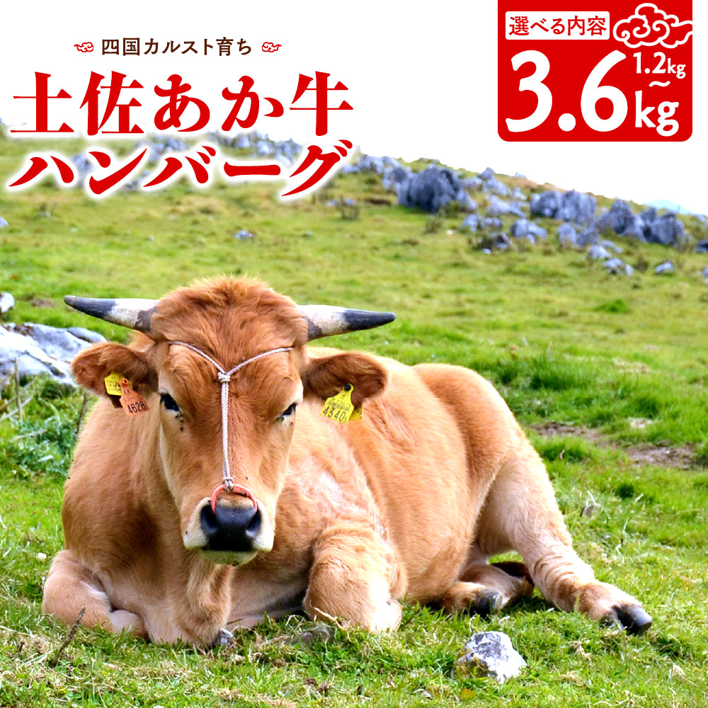 【土佐あかうし】土佐あかうし入りハンバーグ