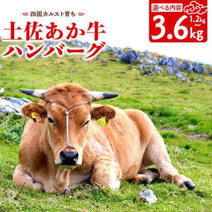 【土佐あかうし】土佐あかうし入りハンバーグ