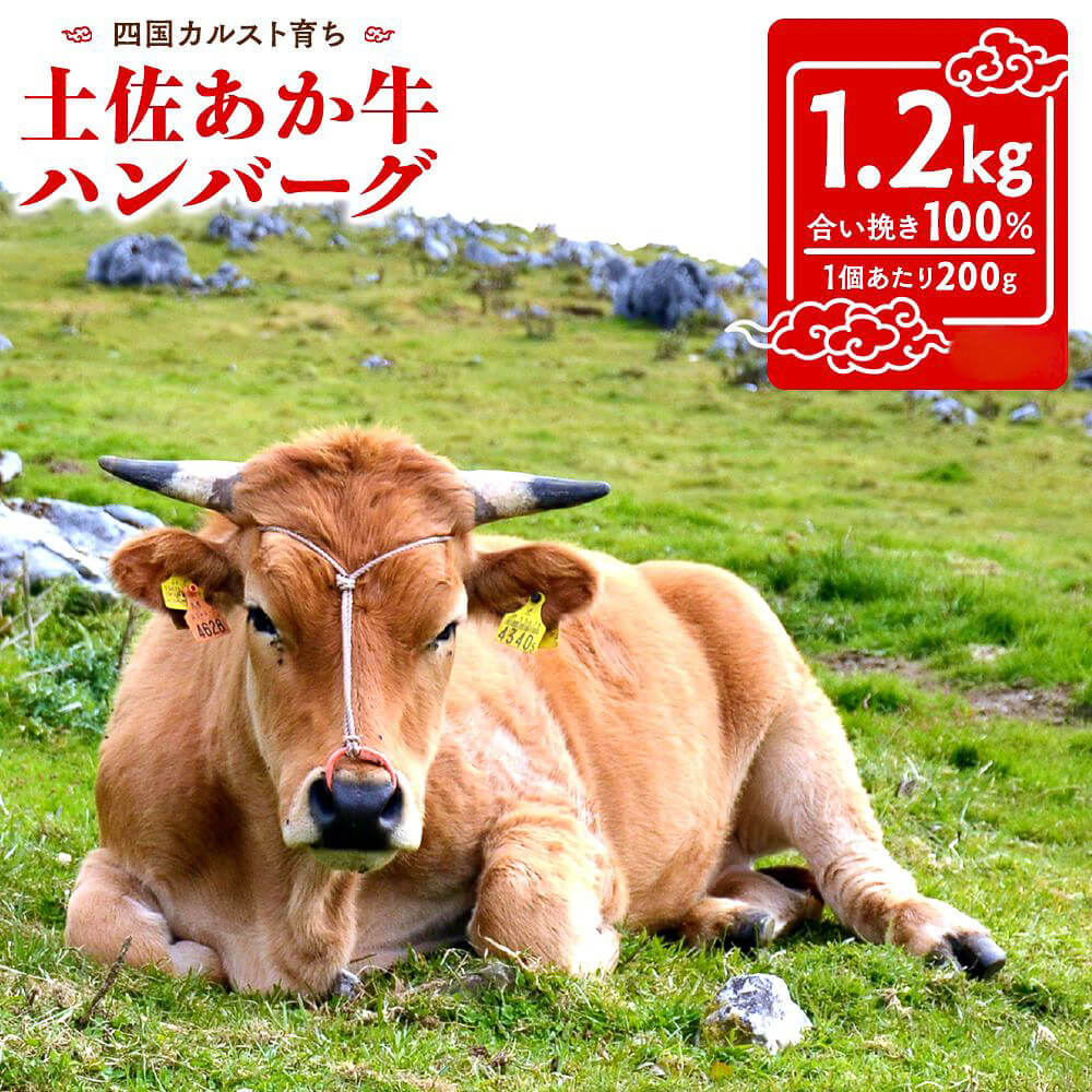 【土佐あかうし】土佐あかうし入りハンバーグ