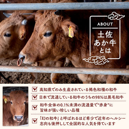 【土佐あかうし】土佐あかうし入りハンバーグ