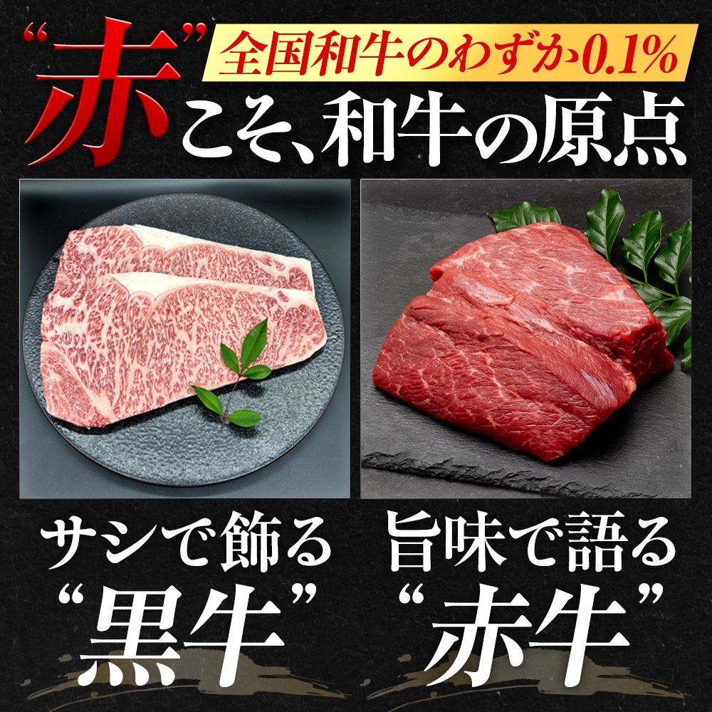 【土佐あかうし】土佐あかうし入りハンバーグ