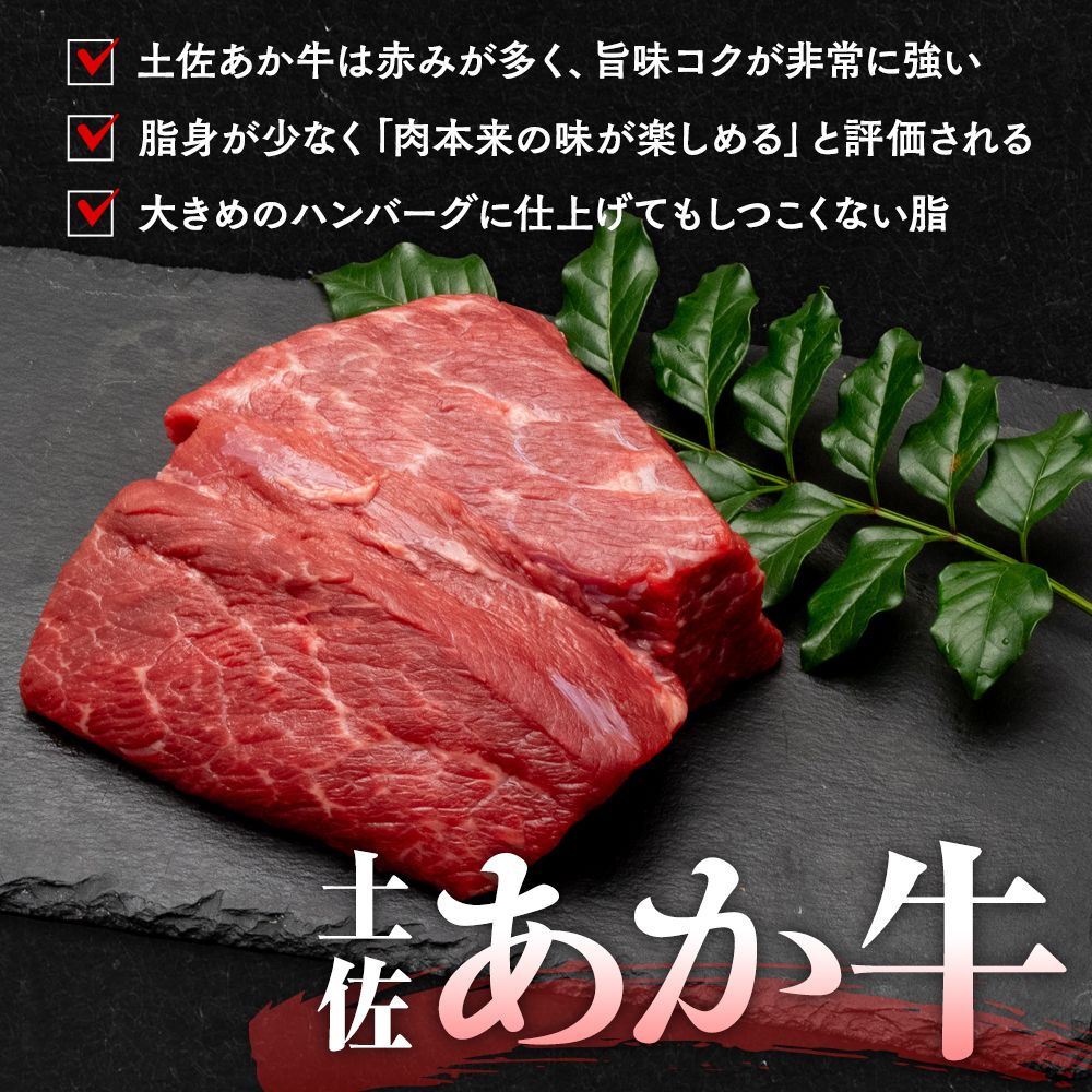 【土佐あかうし】土佐あかうし入りハンバーグ