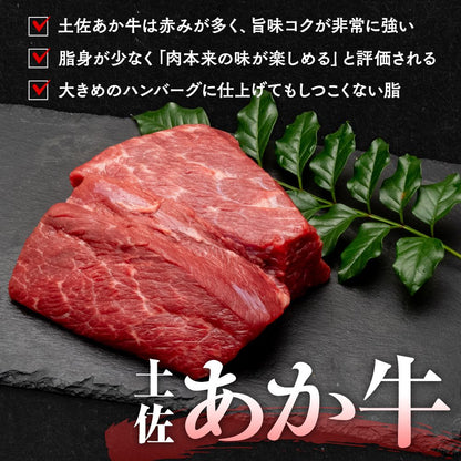 【土佐あかうし】土佐あかうし入りハンバーグ