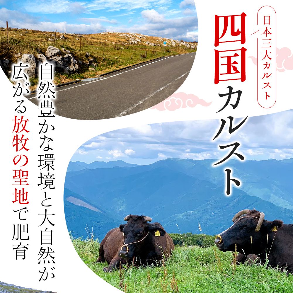 【土佐あかうし】土佐あかうし入りハンバーグ