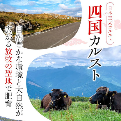 【土佐あかうし】土佐あかうし入りハンバーグ