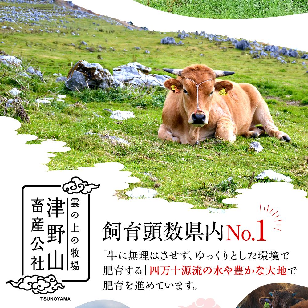 【土佐あかうし】土佐あかうし入りハンバーグ