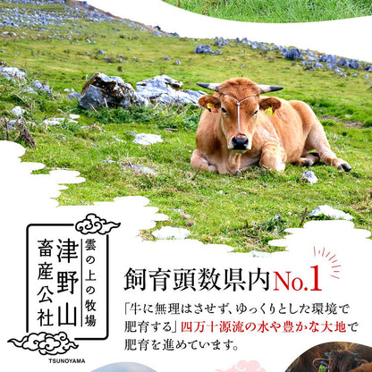 【土佐あかうし】土佐あかうし入りハンバーグ