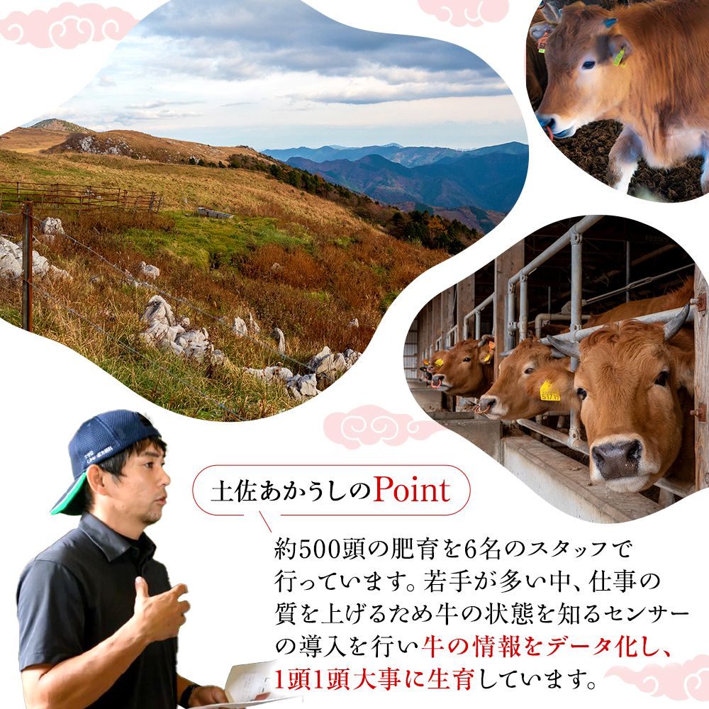 【土佐あかうし】土佐あかうし入りハンバーグ