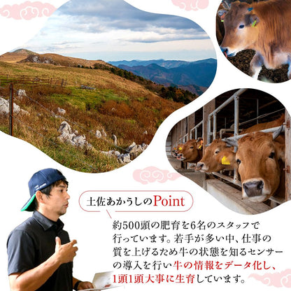 【土佐あかうし】土佐あかうし入りハンバーグ