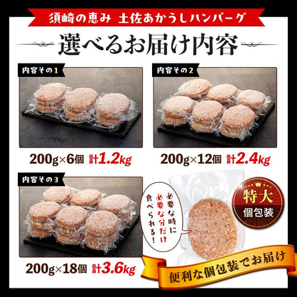 【土佐あかうし】土佐あかうし入りハンバーグ