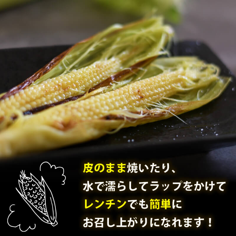 【期間限定・8/16より出荷】高知県・須崎産ヤングコーン 「野獣の一番摘み」