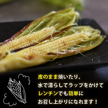 【期間限定・8/16より出荷】高知県・須崎産ヤングコーン 「野獣の一番摘み」