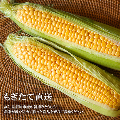 【限定 8/30より出荷】高知県・須崎産とうもろこし 「野獣の一撃」