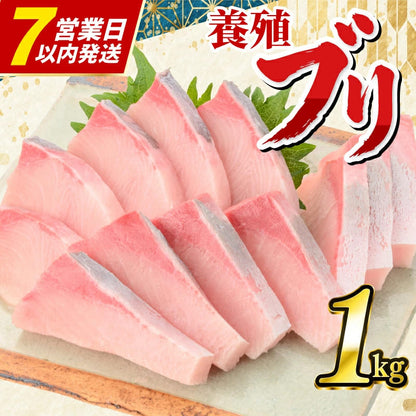 【高知県宿毛産】土佐宿毛ブリ 皮なし ロイン お刺身用柵【400g/1kgから選択可】