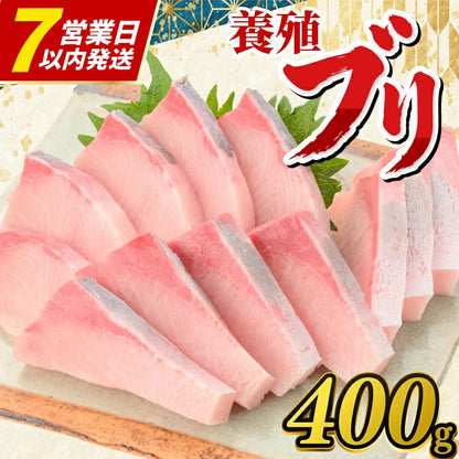【高知県宿毛産】土佐宿毛ブリ 皮なし ロイン お刺身用柵【400g/1kgから選択可】