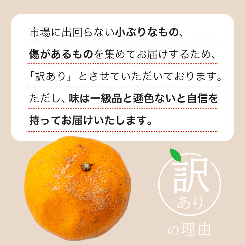 【今季受付終了】甘くておいしい有機ポンカン　訳あり5kg/10kg【高知県須崎市・田條園】【柑橘】
