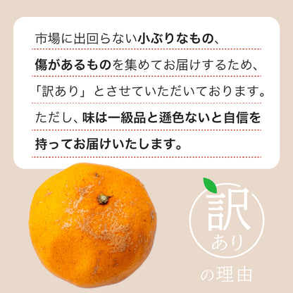 【今季受付終了】甘くておいしい有機ポンカン　訳あり5kg/10kg【高知県須崎市・田條園】【柑橘】