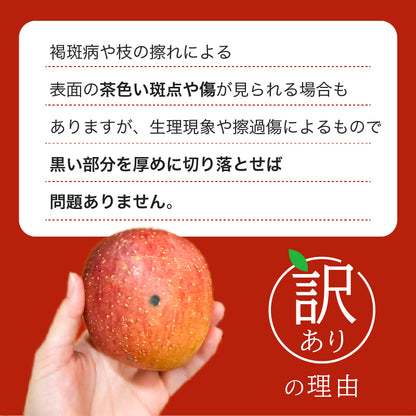 【12/24までの注文で年内配送】福岡県産 川崎町観光りんご園「サンふじ」訳あり品 約3kg／5kg