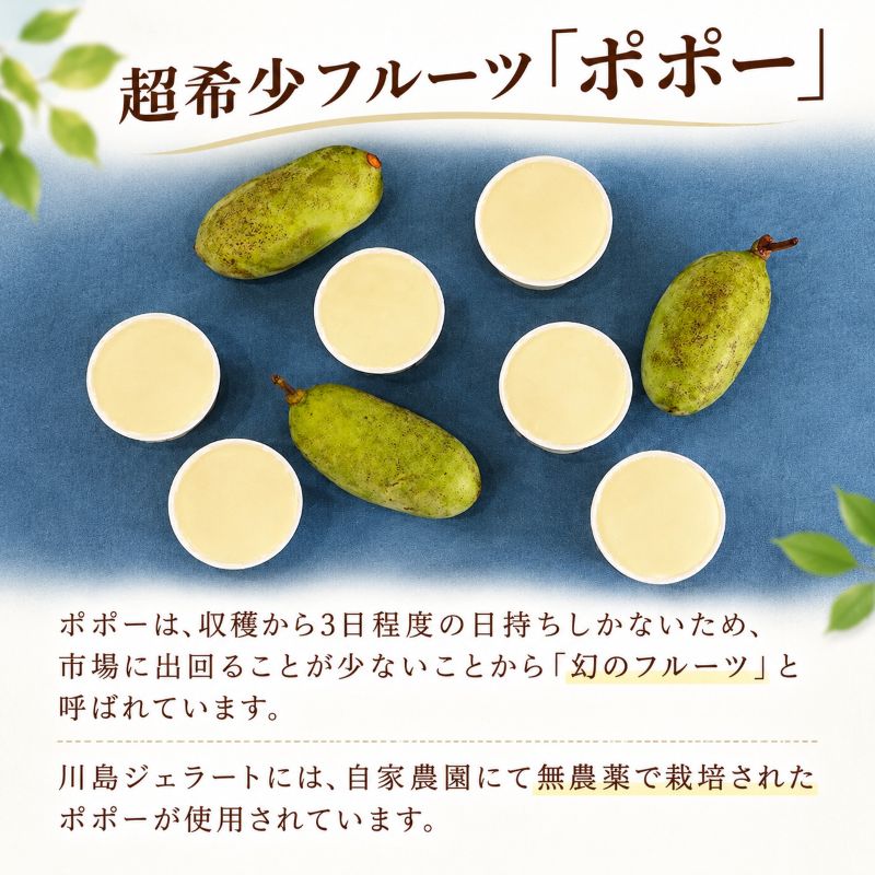 【川島ジェラート 】幻のフルーツ ポポー ジェラート【6個/12個】