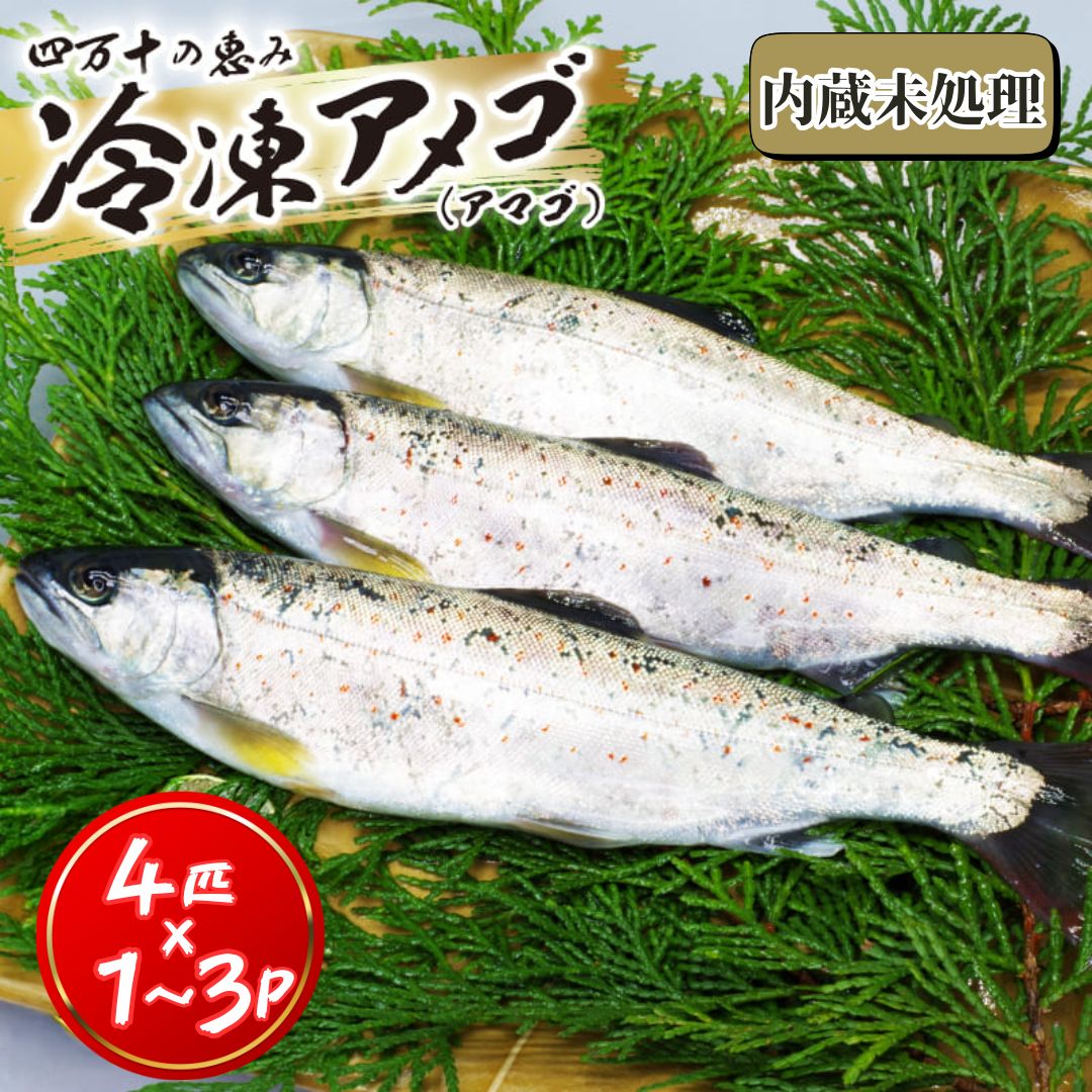 【高知県産】冷凍アメゴまるごと（内蔵未処理）