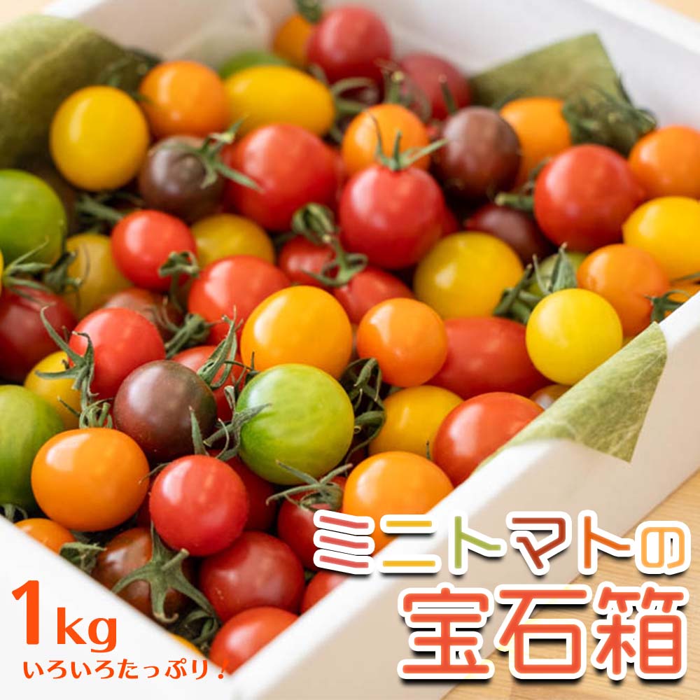 とまっくまのカラフルミニトマトの宝石箱 1kg【お届け日指定不可】