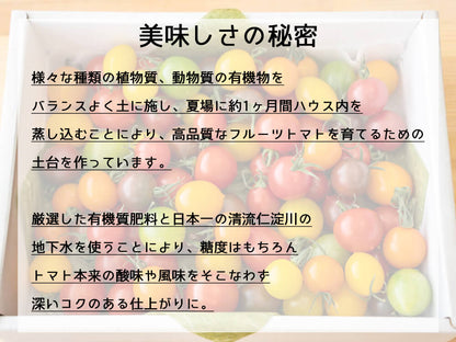 とまっくまのカラフルミニトマトの宝石箱 1kg【お届け日指定不可】