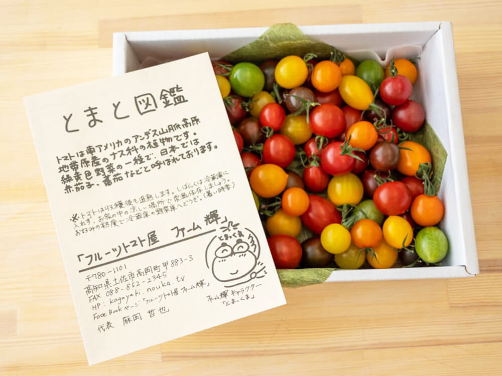 とまっくまのカラフルミニトマトの宝石箱 1kg【お届け日指定不可】