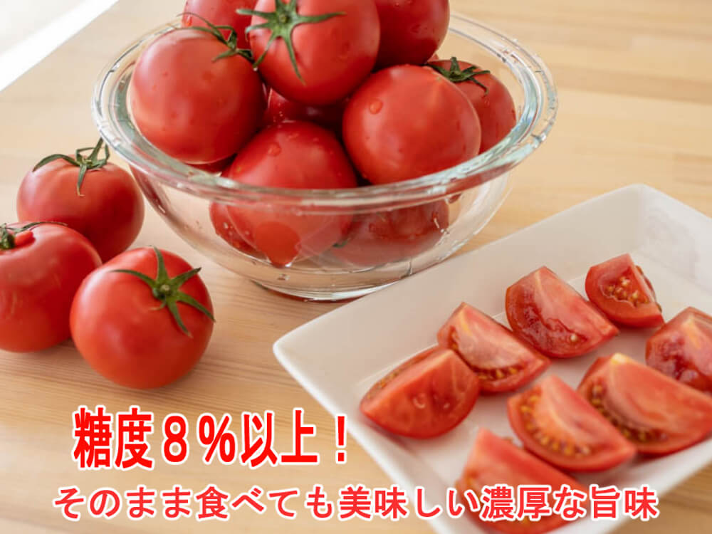 【訳あり】とまっくまのフルーツトマト 1kg【お届け日指定不可】