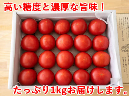 【訳あり】とまっくまのフルーツトマト 1kg【お届け日指定不可】