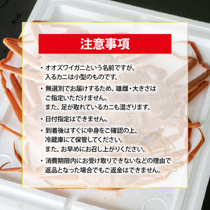 【販売再開！】オオズワイガニ 無選別品 生でお届け！ 【お届け日指定不可】