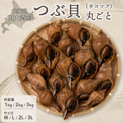 北海道・噴火湾産つぶ貝（タコツブ）生・殻付き1kg　Mサイズ/Lサイズ/2Lサイズ/3Lサイズ