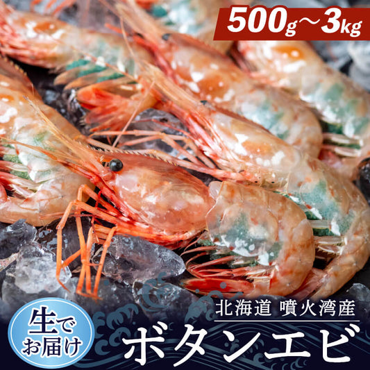 【生でお届け！】北海道・噴火湾産 ボタンエビ 500g〜3kg