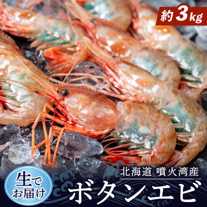 【生でお届け！】北海道・噴火湾産 ボタンエビ 500g〜3kg