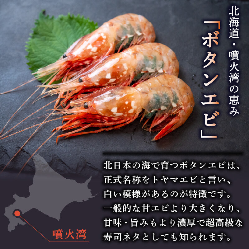 【生でお届け！】北海道・噴火湾産 ボタンエビ 500g〜3kg