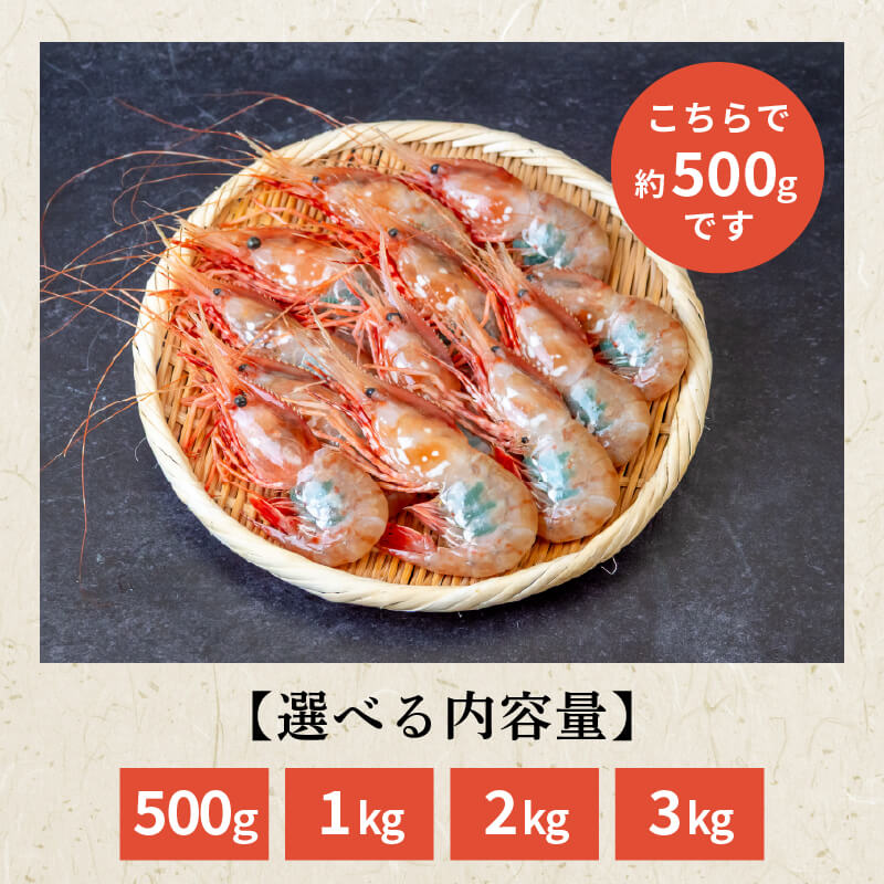 【生でお届け！】北海道・噴火湾産 ボタンエビ 500g〜3kg