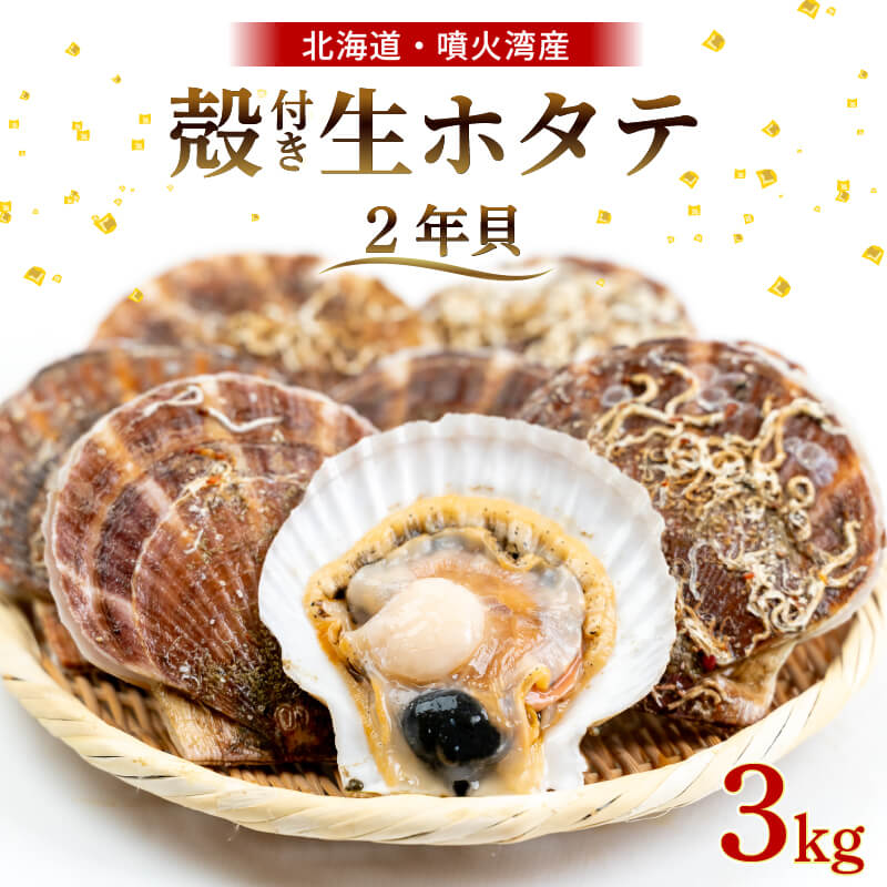【生でお届け！】 北海道・噴火湾産 ホタテ貝 ２年貝 殻付き 2kg〜8kg【貝むきヘラ付き】
