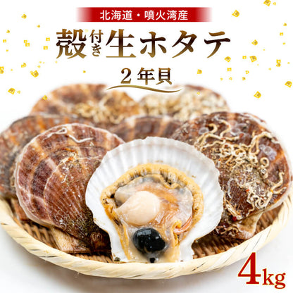 【生でお届け！】 北海道・噴火湾産 ホタテ貝 ２年貝 殻付き 2kg〜8kg【貝むきヘラ付き】