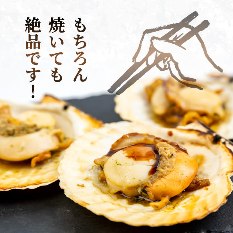 【生でお届け！】 北海道・噴火湾産 ホタテ貝 ２年貝 殻付き 2kg〜8kg【貝むきヘラ付き】