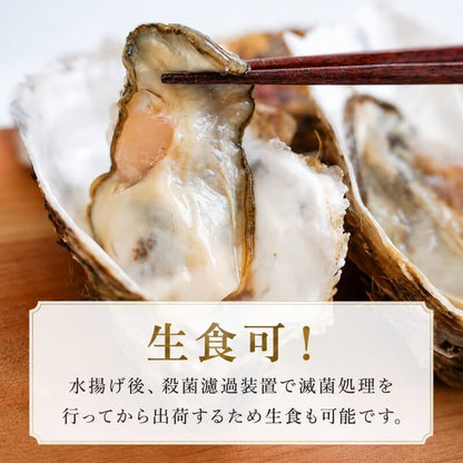 【生食可】北海道噴火湾産 ブランド牡蠣「秀峰」Mサイズ 150〜200g 10〜40個入り【滅菌処理済み】